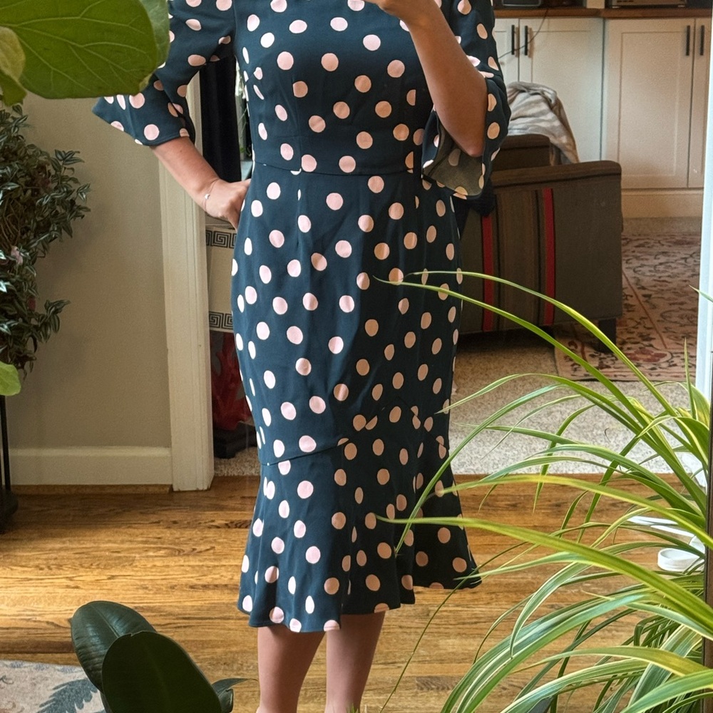 Boden green and Pink Polka Dot Long Sleeve Dress